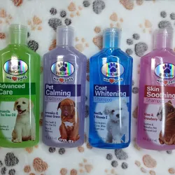 Shampoo pet care
