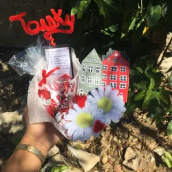 Caja personalizada temática Dinamarca