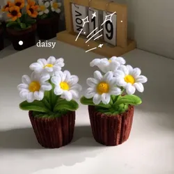 Maceta de margaritas