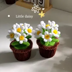 Maceta de mini margaritas