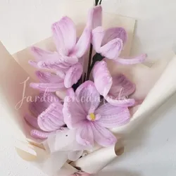 Orquídeas grandes
