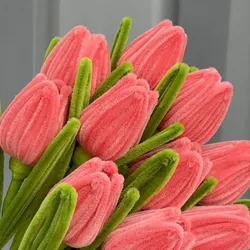 Tulipán sin capullo