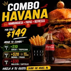 Combo havana botanero 