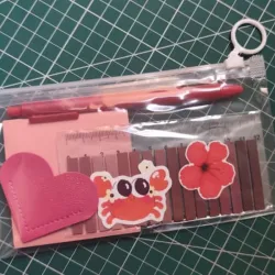 MINI KIT LITERARIO ROJO