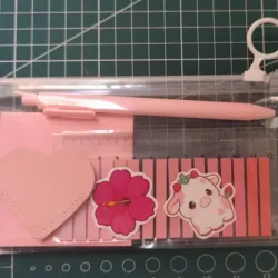 MINI KIT LITERARIO ROSA