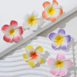 Clips de Flores