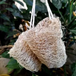 ESPONJA VEGETAL LUFFA 