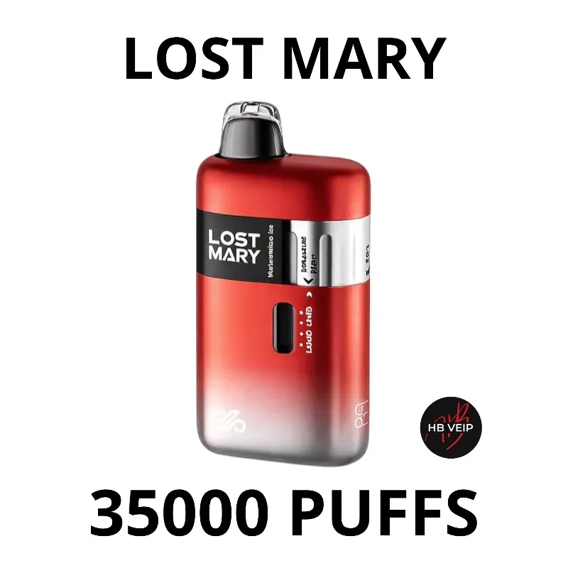 LOST MARY