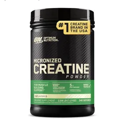 Optimum Nutrition Micronized Creatine Powder