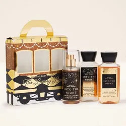 Set Into The Night (Mini)🖤