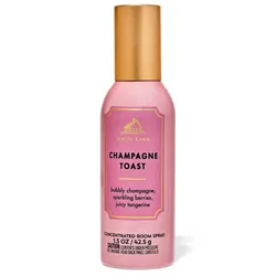 🍾 Spray Champagne Toast BBW