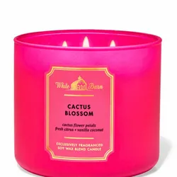 Vela aromática de 3 mechas de BBW