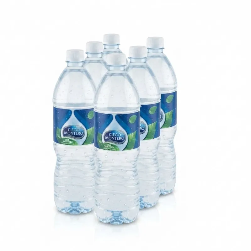 AGUA MINERAL NATURAL CIEGO MONTERO (6U)