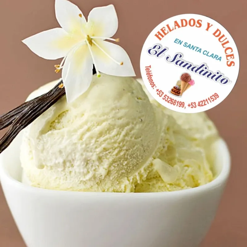 HELADO DE VAINILLA (10 L)