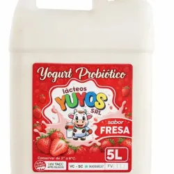 YOGURT PROBIOTICO DE FRESA 5 L