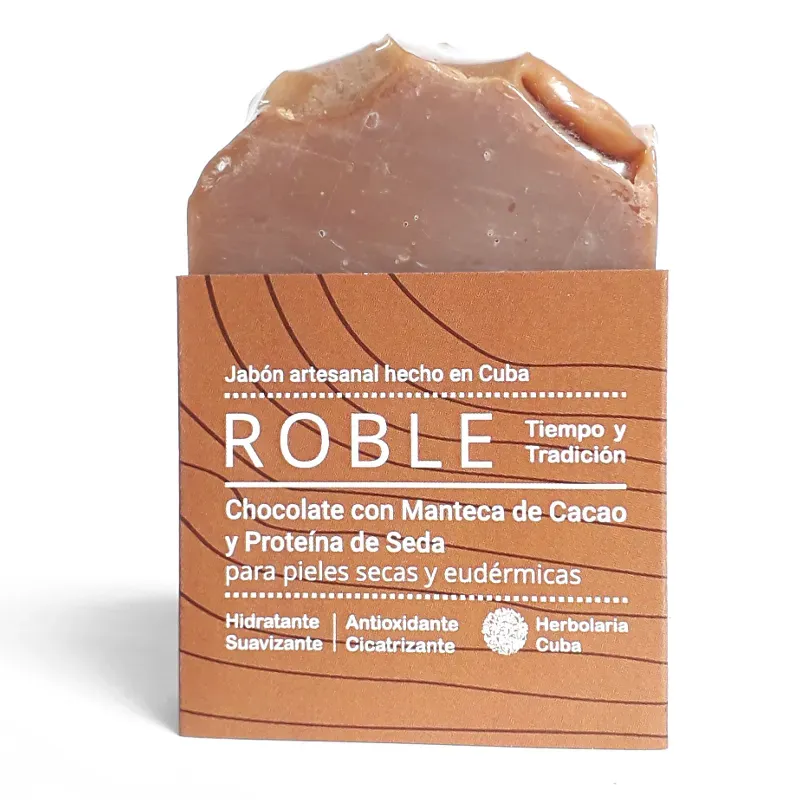 ROBLE de Chocolate (90g)