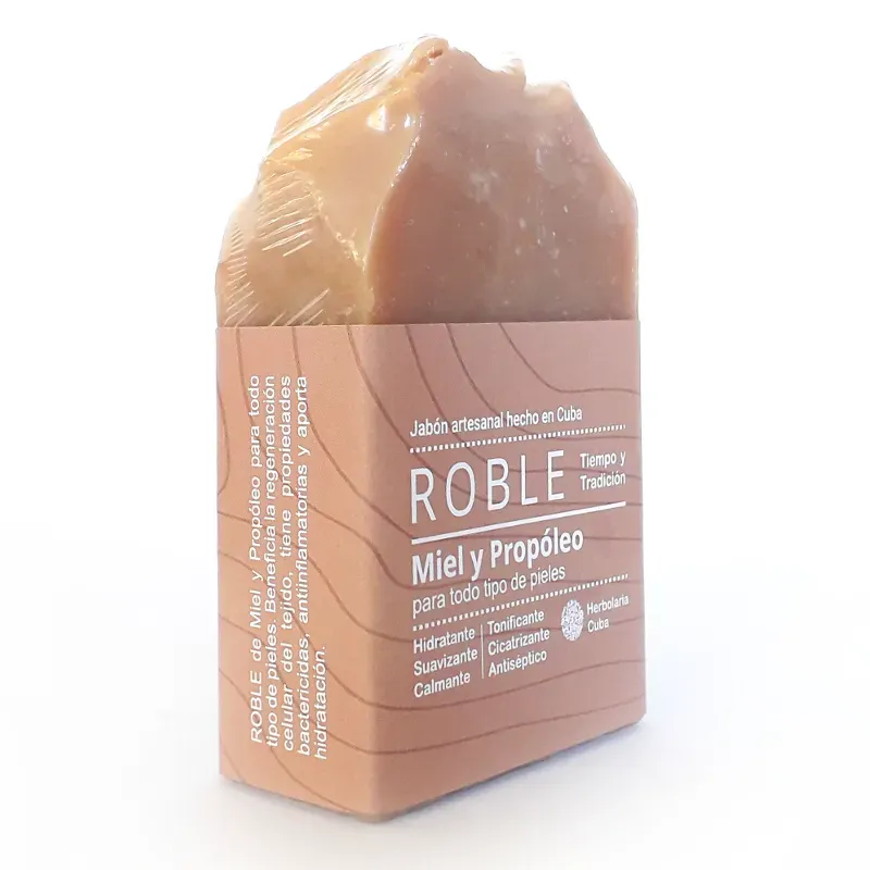 ROBLE de Miel y Propóleo (90g)