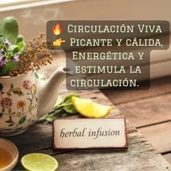 CIRCULACION VIVA