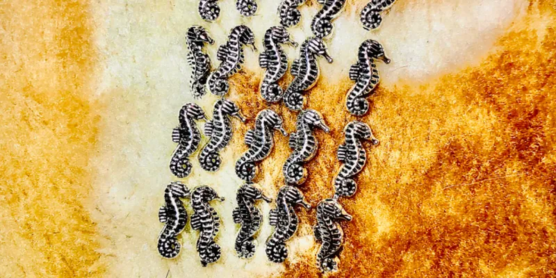 Caballitos de  mar plateado 