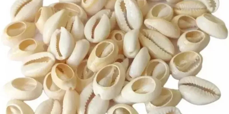 Caracoles seminaturales 