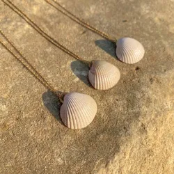 Collares de conchas seminaturales 