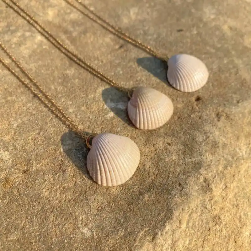 Collares de conchas seminaturales 