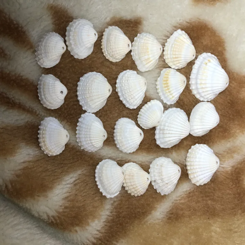 Conchas seminaturales 