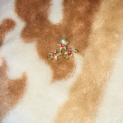 Conectores de Estrella de mar con rojo