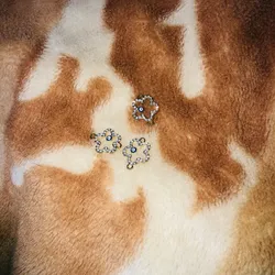 Flores con ojo de protección en negro