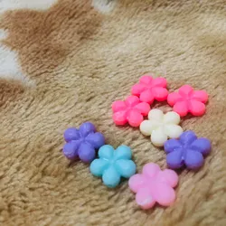 Flores de direntes colores planas 