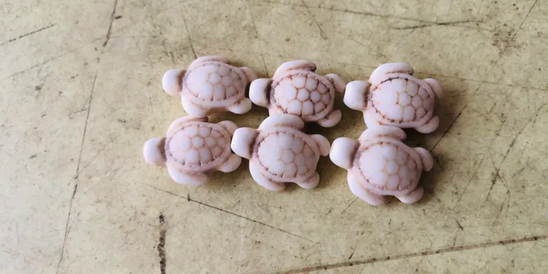 tortugas marinas seminaturales 