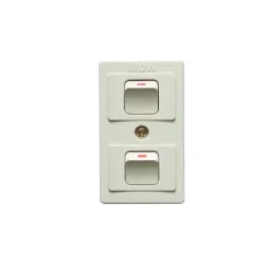 Interruptor De Superficie Doble 