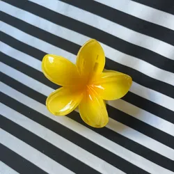 Pellizco Grande amarillo🌸