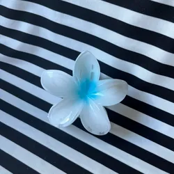 Pellizco Grande azul 2🌸