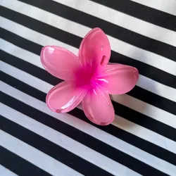 Pellizco Grande rosa 1🌸