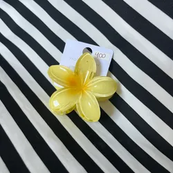 Pellizco Mediano Amarillo🌸