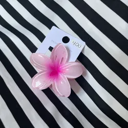 Pellizco Mediano Rosado🌸