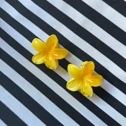 Set de 2 pellizcos amarillos🌸