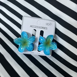 Set de 2 Pellizcos Azules🌸
