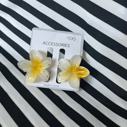 Set de 2 Pellizcos Blanco🌸