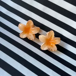 Set de 2 pellizcos naranja🌸