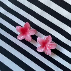 Set de 2 pellizcos rosas 3🌸