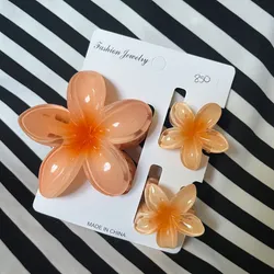 Set de 3 Pellizcos Naranja🌸