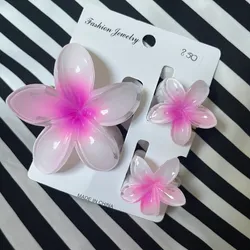 Set de 3 Pellizcos Rosados 3🌸