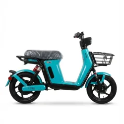 VEDCA S1