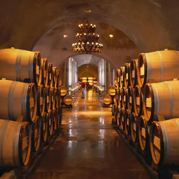 Hola Vinos 🍇🍷 es una tienda que abre sus puertas de manera virtual para hacerle llegar vinos de gama media para aquellos que disfrutan del mosto de la uva. Además de vinos tenemos todas la herramientas posibles para disfrutar del mismo (sacacorchos, tapones para conservación, copas, decantadores, etc). No dude en contactarnos. Tenemos servicio de Mensajería gratis en el área de 84-0 y 1ra-51, Playa. 