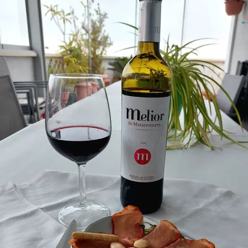 Melior de Matarromera 2023
