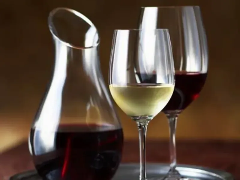 Útiles para el vino 
