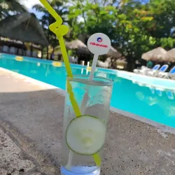 Gin Tonic                                                                  