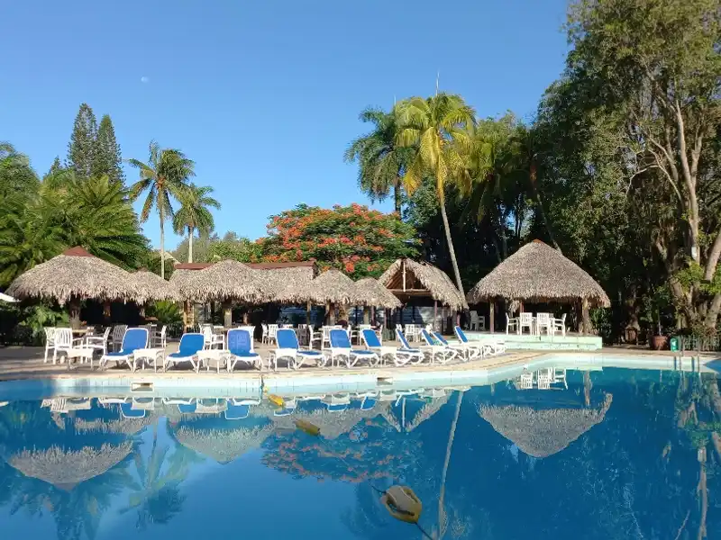  Bar Piscina  Comestibles